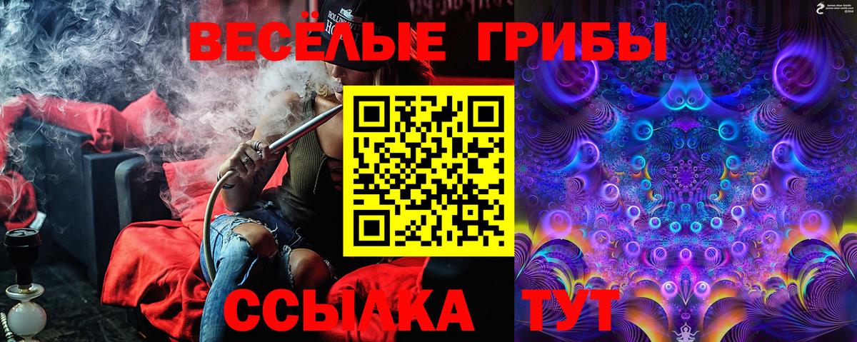 МЕТАДОН Лесозаводск