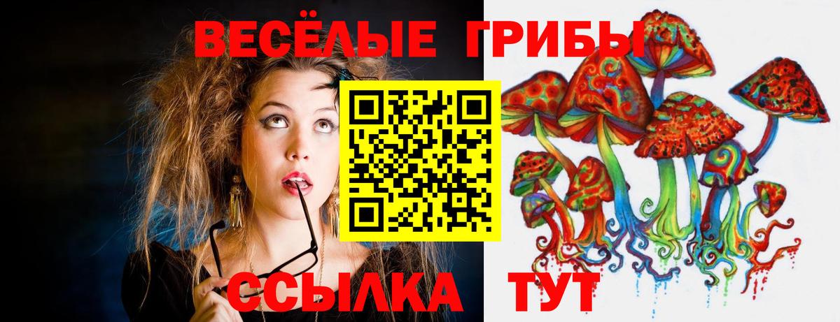 Псилоцибиновые грибы прущие грибы Лесозаводск