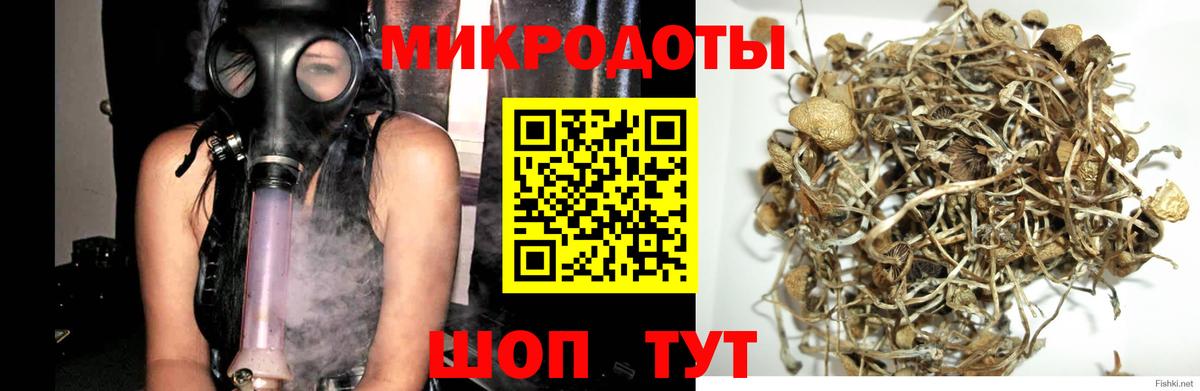 Лесозаводск  Галлюциногенные грибы Cubensis  цена   Вход с VPN 